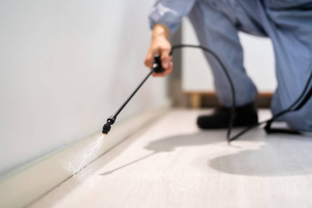 Licensed Pest Control service in Wesley Chapel, FL - Show Me Pest Control