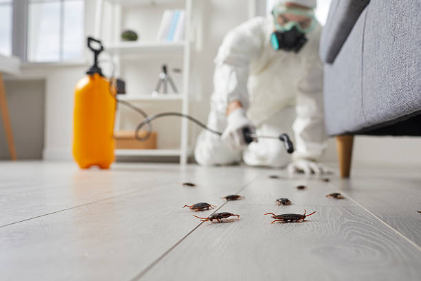Commercial Kitchen Cockroach Control in Wesley Chapel