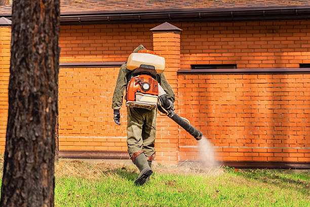 Cockroach Follow-Up and Monitoring in Wesley Chapel